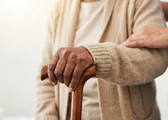 Appréhender les maladies neurodégénératives pour un accompagnement adapté